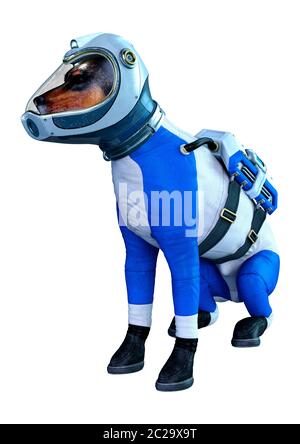 3D rendering di un astronauta cane isolato su sfondo bianco Foto Stock