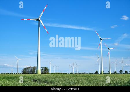 Moderni generatori di energia di vento in un cornfield visto in Germania Foto Stock