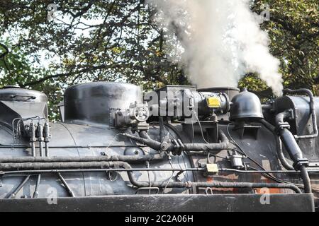 Dettagli di un vecchio a scartamento ridotto locomotiva a vapore Foto Stock