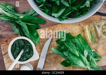 Foglie verdi fresche di aglio selvatico Foto Stock