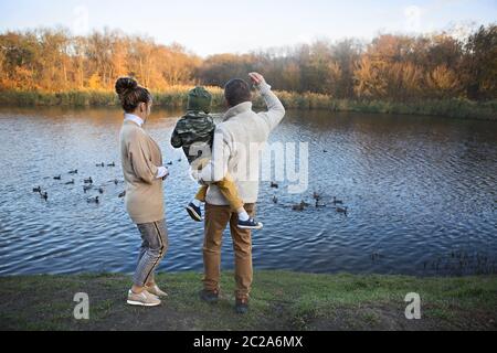 Padre, madre e figlio piccolo nutrendo anatre Foto Stock