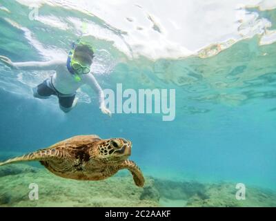 Ragazzo snorkeling in oceano guardando tartaruga marina verde nuotare sopra la barriera corallina Foto Stock