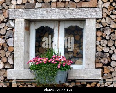 Finestra divertente con decorazione floreale in un muro di legna da ardere Foto Stock