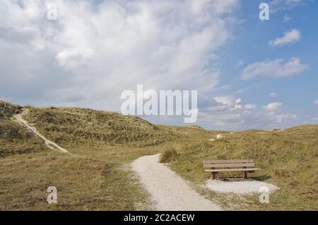 Nelle dune di Julianadorp aan Zee, distretto Den Helder, provincia Olanda, Paesi Bassi, Europa occidentale Foto Stock