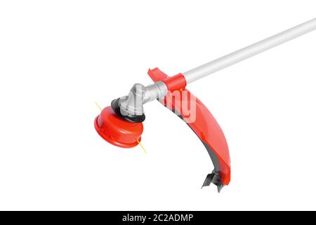 Testina portafilo rossa isolata su sfondo bianco Foto Stock