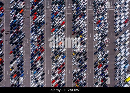 Una vista generale delle nuove auto parcheggiate al Royal Portbury Dock di Avonmouth, Bristol. Foto Stock