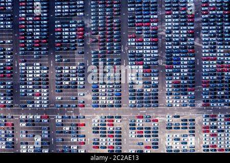 Una vista generale delle nuove auto parcheggiate al Royal Portbury Dock di Avonmouth, Bristol. Foto Stock