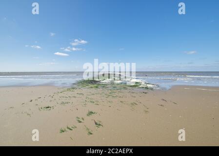 Il Mare del Nord e la spiaggia di sabbia, Julianadorp aan Zee, District Den Helder, Provincia dell'Olanda del Nord, Paesi Bassi, Europa occidentale Foto Stock