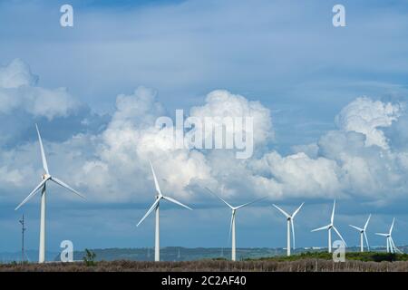 Turbine eoliche nella zona delle paludi di Taichung Port Gaomei. Un popolare punto panoramico nel quartiere di Qingshui, Taichung City, Taiwan Foto Stock