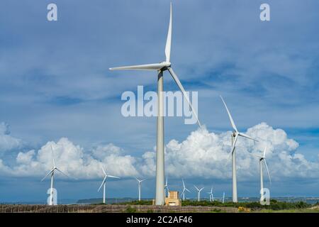 Turbine eoliche nella zona delle paludi di Taichung Port Gaomei. Un popolare punto panoramico nel quartiere di Qingshui, Taichung City, Taiwan Foto Stock