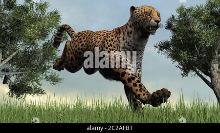 Rendering digitale 3D di una ghepardo che salta nella natura Foto Stock