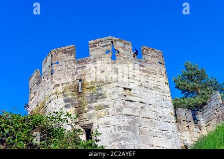 Warwick Castle - Bear Tower with peacock guard in Warwick in Warwick, Warwickshire, United Kingdom Foto Stock