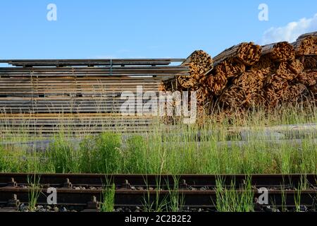 Fasci di legno e tavole impilate in un magazzino di segheria, direttamente su binari ferroviari con cielo blu e erbe verdi Foto Stock