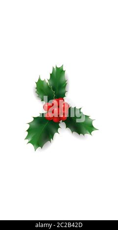 Copertina dei social media 3D realistica di Natale con mirtillo rosso. Evidenzia storie isolato sfondo bianco modello. Nuovo anno decorazione concetto vettore Illustrazione Vettoriale
