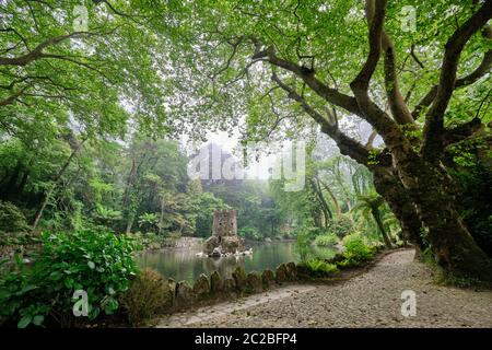 La Valle dei Laghi (vale dos Lagos) in una giornata di nebbiosa, nella foresta di pena sopra Sintra. Un sito patrimonio dell'umanità dell'UNESCO. Sintra, Portogallo Foto Stock