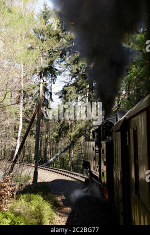 Ferrovia a scartamento ridotto sulla strada tra Zittau e Jonsdorf Foto Stock