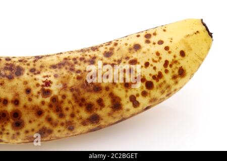 Close up di un eccesso di banana matura isolata su sfondo bianco Foto Stock