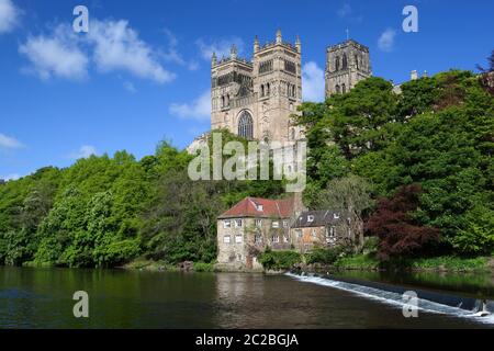 Durham Cathedral e l'Old Fulling Mill e Museo di archeologia sul fiume Wear, Durham, County Durham, Inghilterra, Regno Unito, Europa Foto Stock