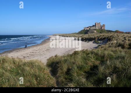 Vista sulle dune della spiaggia e sul castello di Bambburgh, situato sulla falesia di basalto, Bambburgh, Northumberland, Inghilterra, Regno Unito, Europa Foto Stock