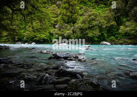 Il fiume alle cascate di Thunder Creek nel Passo dell'Haast, Nuova Zelanda. Foto Stock