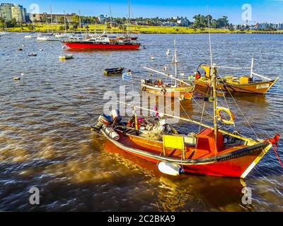 Navi e Barche a Buceo Port, Montevideo, Uruguay Foto Stock