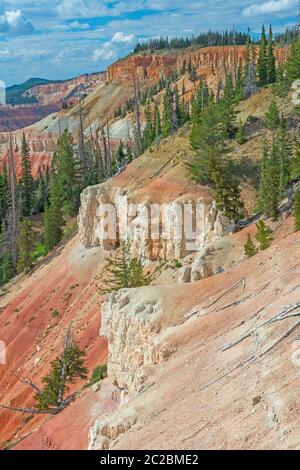 Graziosi colori tra i pini a Cedar Breaks National Monument in Utah Foto Stock