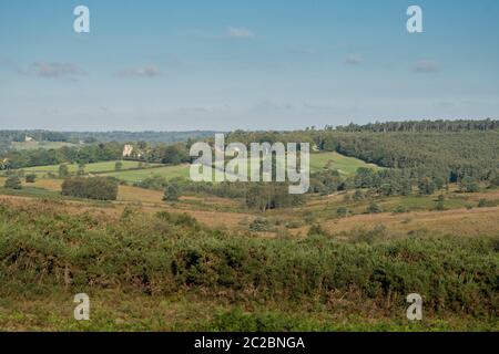 La vista di Ashdown Forest in una giornata di sole, East Sussex, Regno Unito Foto Stock