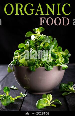 Alimenti biologici freschi insalata di valeriana su legno scuro tabella vista dall'alto. Healphy e pulizia concetto di nutrizione con il testo. Bella cartolina di cottura, poster, bann Foto Stock