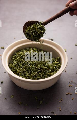 Kasuri Methi / Kasoori Methi o foglie di fenugreek essiccate anche noto come Trigonella Foenum Graecum Foto Stock