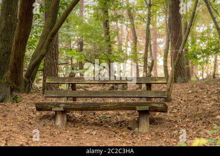 Il vecchio banco di uno spessore di legno marrone scuro e travi sorge nella foresta sotto alberi decidui su una collina Foto Stock