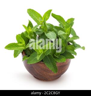 Foglie di menta fresca mazzetto isolati su sfondo bianco Foto Stock