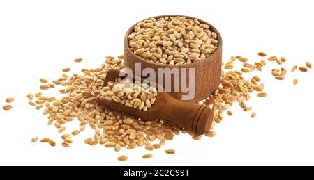 Grani di grano in ciotola di legno con paletta isolata su fondo bianco Foto Stock