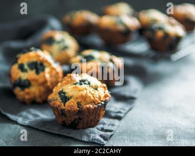Muffin ai mirtilli fatti in casa su sfondo scuro. Foto Stock