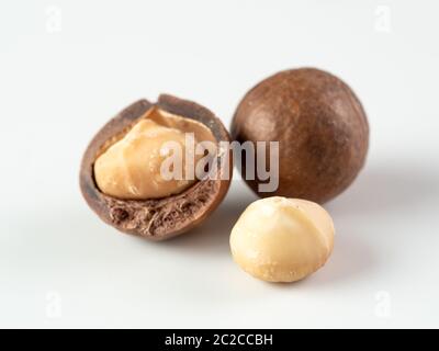 Tre noci di macadamia isolate su bianco Foto Stock