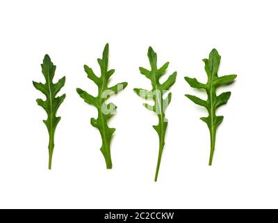 Quattro foglie di rucola isolate su bianco Foto Stock