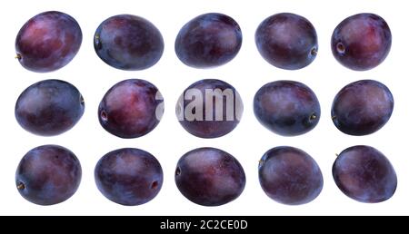 Le prugne isolati su sfondo bianco, raccolta Foto Stock