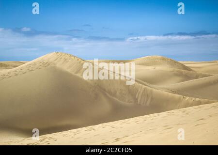 regione desertica con dune sotto il cielo blu Foto Stock