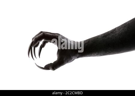 Creepy monster claw isolato su sfondo bianco con tracciato di ritaglio Foto Stock