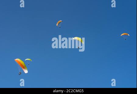 Immenstadt, Baviera, Germania, Parapendio nel cielo blu delle alpi Allgau alla vetta di Mittag a Immenstadt Foto Stock