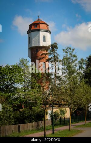una torre d'acqua svetta da dietro le cime degli alberi Foto Stock