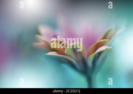 Bella natura verde background.Colorful Arte Wallpaper.Natural Macro Photography.Beauty in Nature.Creative Floral Art Design.Tranquieta natura closeup view.Blurred spazio per il tuo text.Abstract Primavera Fiori. Foto Stock