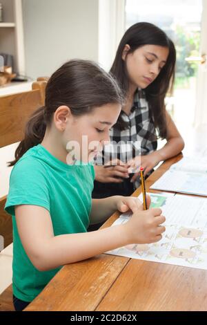 Due ragazze che istruono a casa dal tavolo della cucina Foto Stock