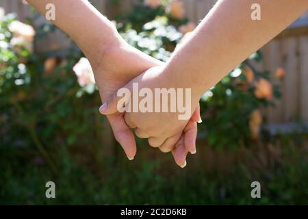 Due mani per bambini che tengono insieme i fiori sullo sfondo Foto Stock