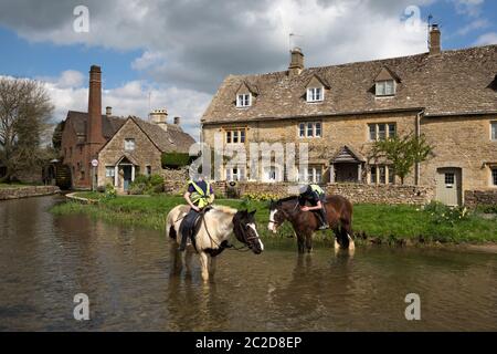 Cavalli nel River Eye con il Museo Old Mill, Lower Slaughter, Cotswolds, Gloucestershire, Inghilterra, Regno Unito, Europa Foto Stock