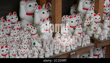 Tradizionale Santuario Gotokuji nella città di Tokyo Foto Stock