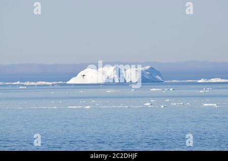 Eisberge in der Diskobucht, Grönland Foto Stock