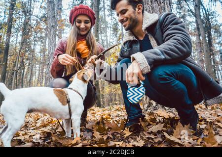 Donna e uomo che camminano il loro cane gettando un bastone per giocare con lei Foto Stock