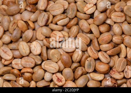 Caffè biologico non tostato - caffè arabica - texture artesanale Foto Stock