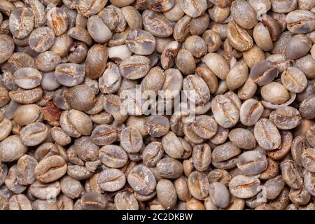 Caffè biologico non tostato - caffè arabica - texture artesanale Foto Stock