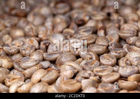 Caffè biologico non tostato - caffè arabica - texture artesanale Foto Stock